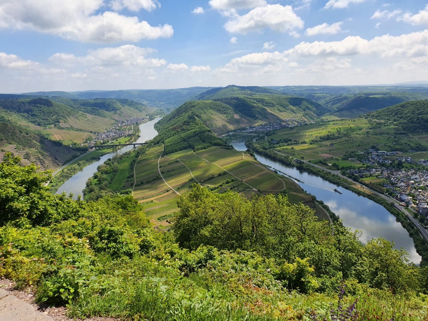 The Moselle Region1